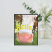 Funny Cow Hallo Postkarte (Stehend Vorderseite)