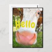 Funny Cow Hallo Postkarte (Vorne/Hinten)