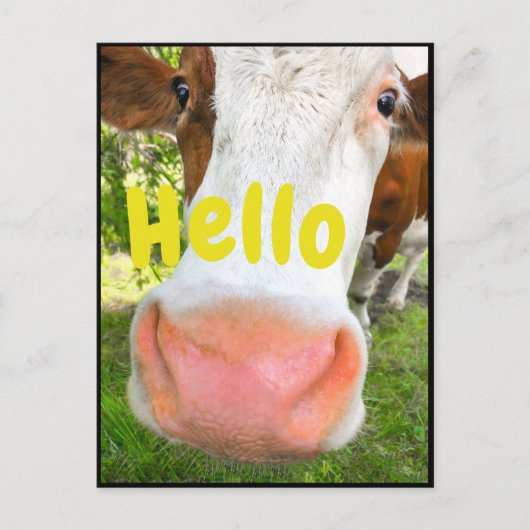 Funny Cow Hallo Postkarte (Vorderseite)