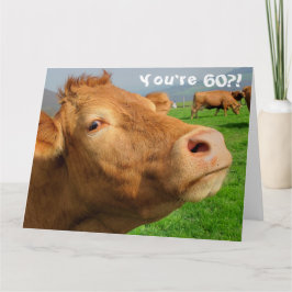 Funny Cow Happy 60. Geburtstagskarte Karte