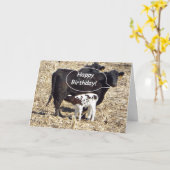 Funny Cow Happy Birthday Card Karte (Gelbe Blume)