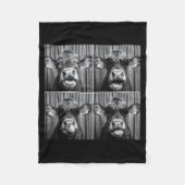 Funny Cow Sungles Fleecedecke (Vorderseite)