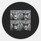 Funny Cow Sungles Runder Aufkleber (Vorderseite)