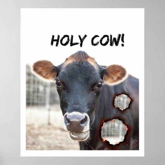 funny cow wall art poster (Vorne)