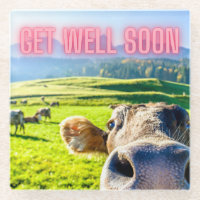 Funny Cow wird bald gut