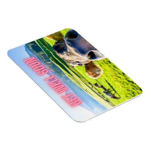 Funny Cow wird bald gut Magnet (Rechte Seite)