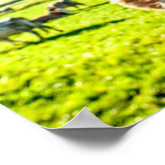 Funny Cow wird bald gut Poster (Ecke)