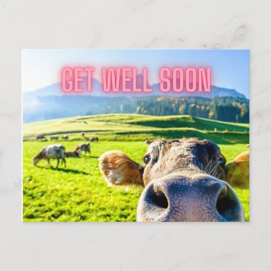 Funny Cow wird bald gut Postkarte (Vorderseite)