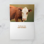 Funny Cow zum Vater Geburtstag Karte (Innenseite)
