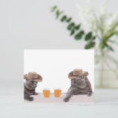 Funny Cowboy Katzen trinken Bier Postkarte (Stehend Vorderseite)