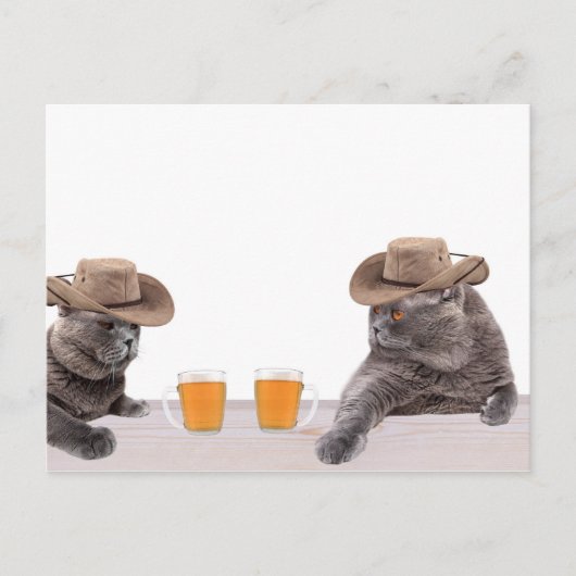 Funny Cowboy Katzen trinken Bier Postkarte (Vorderseite)