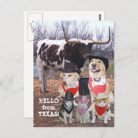 Funny Cowboy Pets Hello aus Texas Postkarte (Vorne/Hinten)