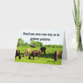 Funny Cows Happy Retirement Card Karte (Vorderseite)