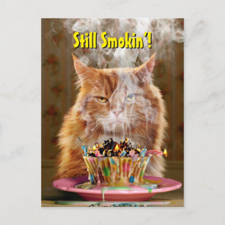Funny Cranky Cat mit geschmolzenem Geburtstagskuch Einladungspostkarte