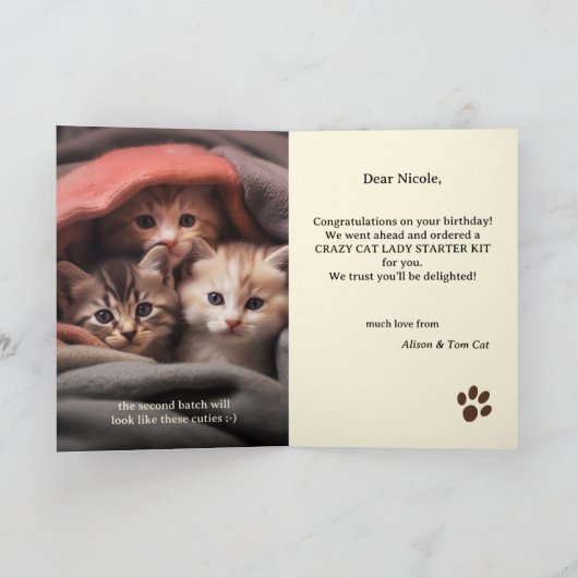 Funny Crazy Cat Lady Geburtstag Karte (Innenseite)