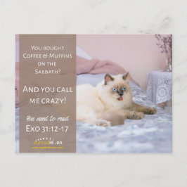 Funny Crazy Cat Spaß Postkarte