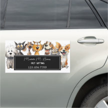 Funny Crazy Cats Hunde Haustiere Sitter Tiergeschä