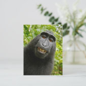 Funny Creast Monkey Karte (Stehend Vorderseite)