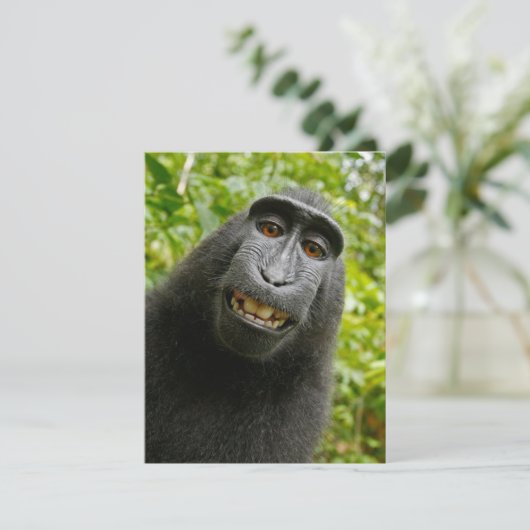 Funny Creast Monkey Karte (Stehend Vorderseite)