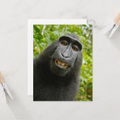 Funny Creast Monkey Karte (Vorderseite/Rückseite Beispiel)