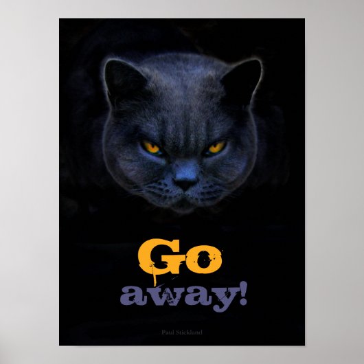 Funny Cross Cat sagt "Go Away Poster (Vorne)