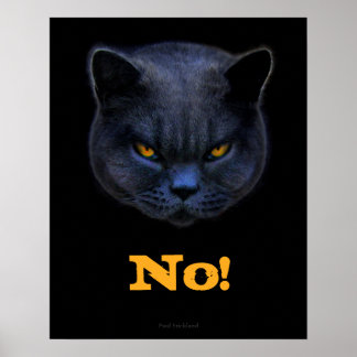 Funny Cross Cat sagt nein Poster