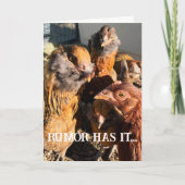 Funny Curious Amber Brown Chickens Nah-Up Foto Karte (Vorderseite)