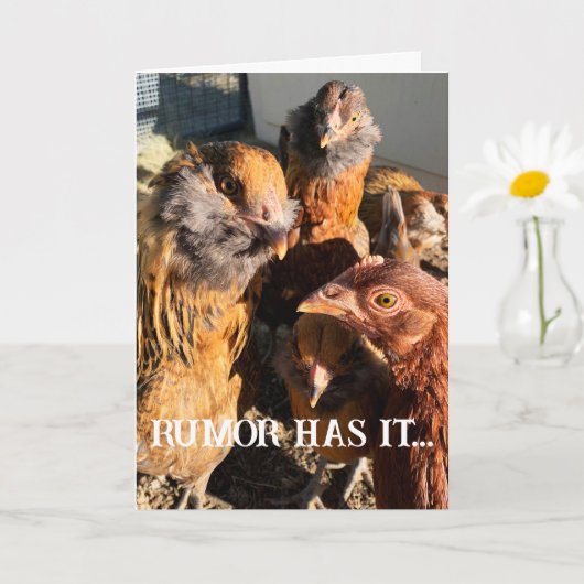 Funny Curious Amber Brown Chickens Nah-Up Foto Karte (Kleine Pflanze)