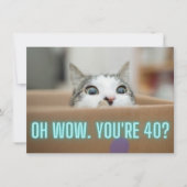 Funny Curious Cat 40. Geburtstagsflat Karte (Vorderseite)