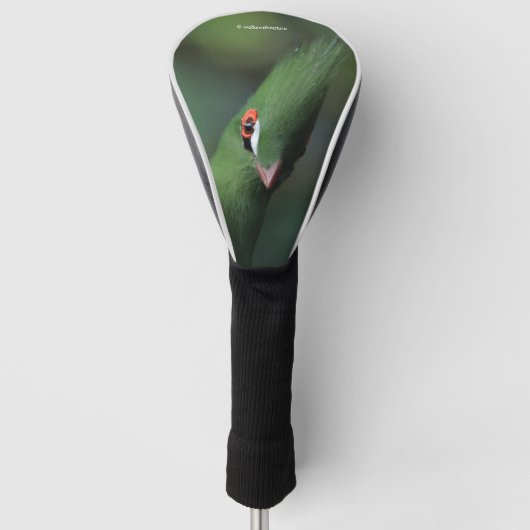 Funny Curry Guinea Turaco Green Bird Golf Headcover (Vorderseite)