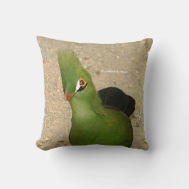 Funny Curry Guinea Turaco Green Bird Kissen