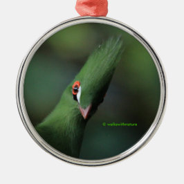 Funny Curry Guinea Turaco Green Bird Ornament Aus Metall