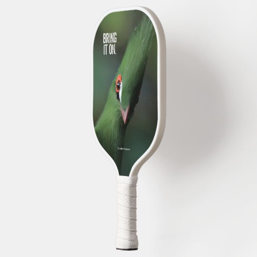 Funny Curry Guinea Turaco Green Bird Pickleball Schläger (Links)