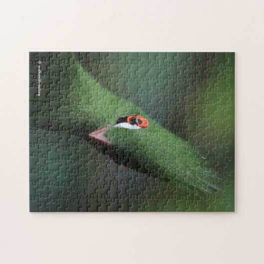 Funny Curry Guinea Turaco Green Bird Puzzle (Horizontal)