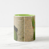 Funny Curry Guinea Turaco Green Bird Zweifarbige Tasse (Mittel)