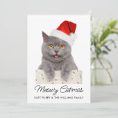 Funny Custom Cat Foto Weihnachtskarte Einladung (Stehend Vorderseite)