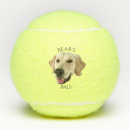 Funny Custom Dog Foto Head Name Tennisbälle (Vorderseite)