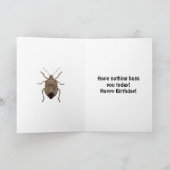 Funny Custom Message Personalisiert Stink Bug Karte (Innenseite)