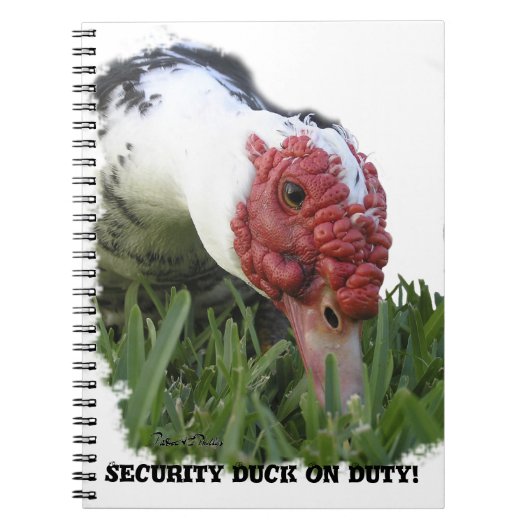 Funny Custom Text Security Muscovy Duck Foto Notizblock (Vorderseite)