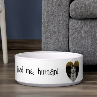 Funny Customizable Keramik Pet Bowl Napf