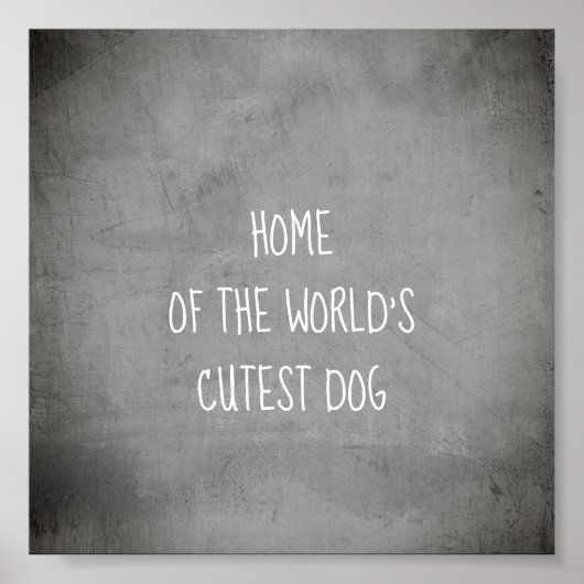 funny  cute collage  dog quote poster art (Vorne)