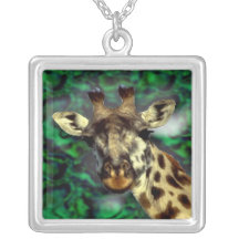 Funny cute Giraffe