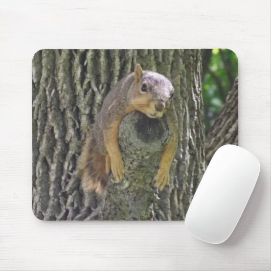 Funny Cute Lazy Squirrel on Tree Branch Mousepad (Mit Mouse)