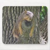 Funny Cute Lazy Squirrel on Tree Branch Mousepad (Vorne)