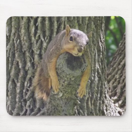 Funny Cute Lazy Squirrel on Tree Branch Mousepad (Vorne)