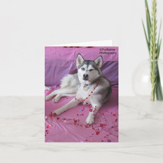 Funny, Cute Siberian Husky Valentine's Day Karte (Vorderseite)