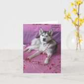 Funny, Cute Siberian Husky Valentine's Day Karte (Gelbe Blume)