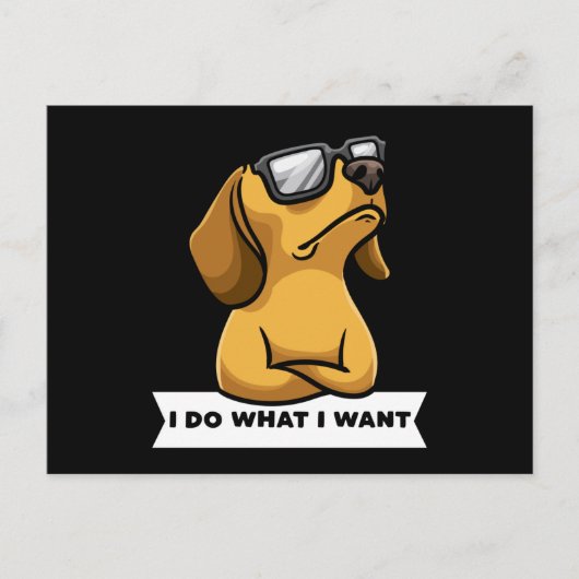 Funny Dachhund Hund lustiges Geschenk Idee Postkarte (Vorderseite)
