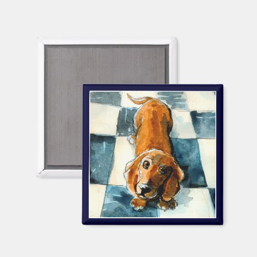 Funny Dackel dog magnet (Vorderseite/Rückseite)