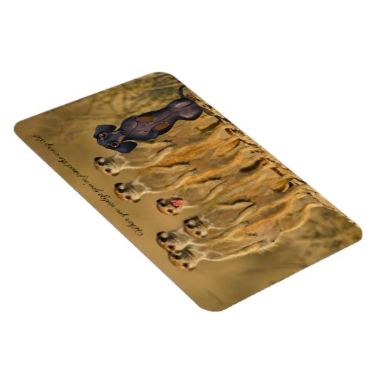 Funny Dackel Meerkat Magnet (Rechte Seite)